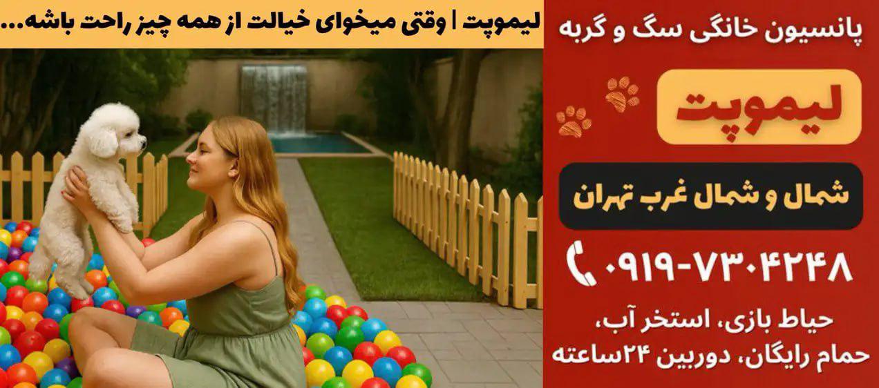 لوگو پانسیون ویلای خانگی لیموپت