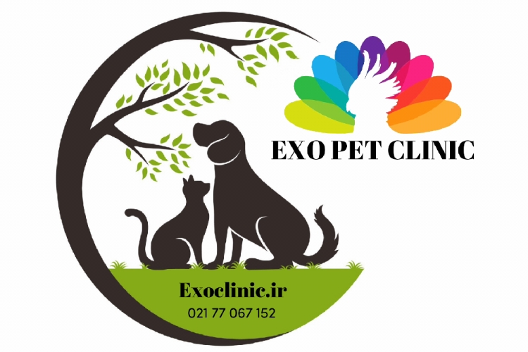 لوگو کلینیک تخصصی دامپزشکی اگزو
